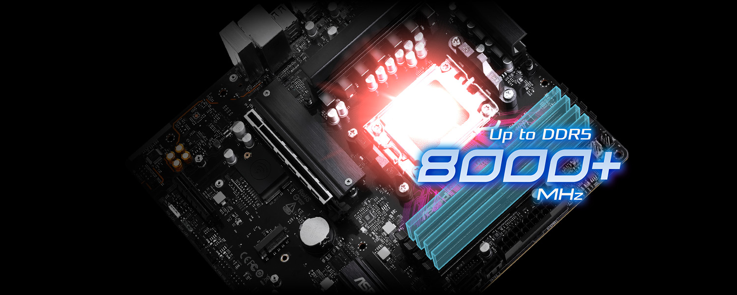 DDR5 XMP & EXPO Support